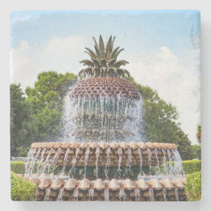 Pineapple Fountain in Charleston, SC Steinuntersetzer