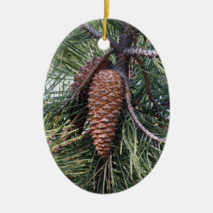 Pinecon auf dem Kiefer Keramik Ornament
