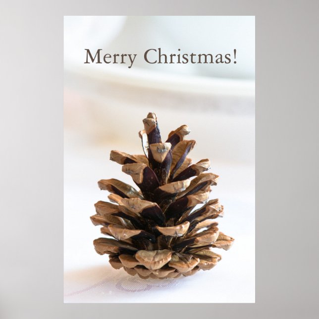 Pinecon Poster (Vorne)