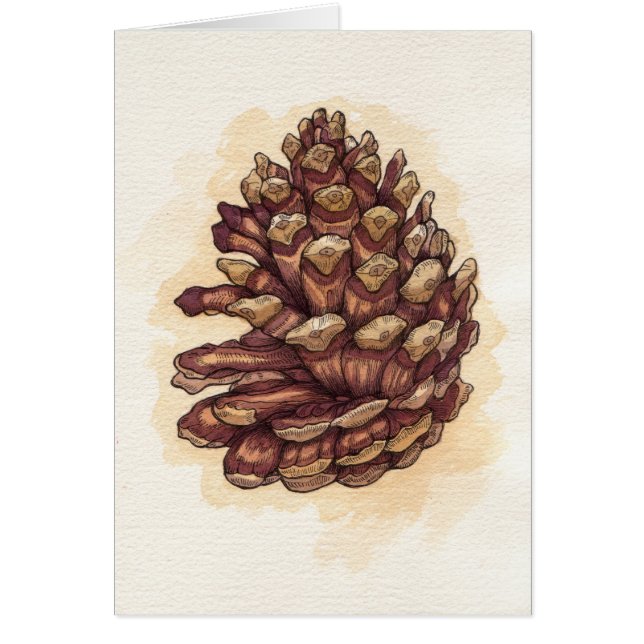 Pinecone (Vorne)