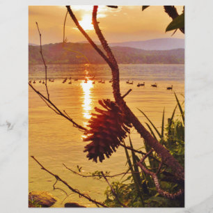 Pinecone