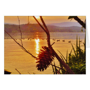 Pinecone