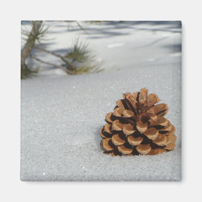 Pinecone auf dem Schneemagnet Magnet (Vorne)