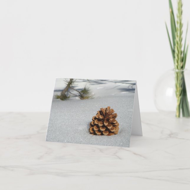 Pinecone auf der Schneekarte Karte (Vorderseite)