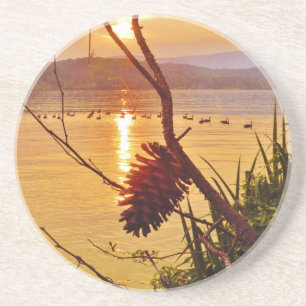 Pinecone Getränkeuntersetzer