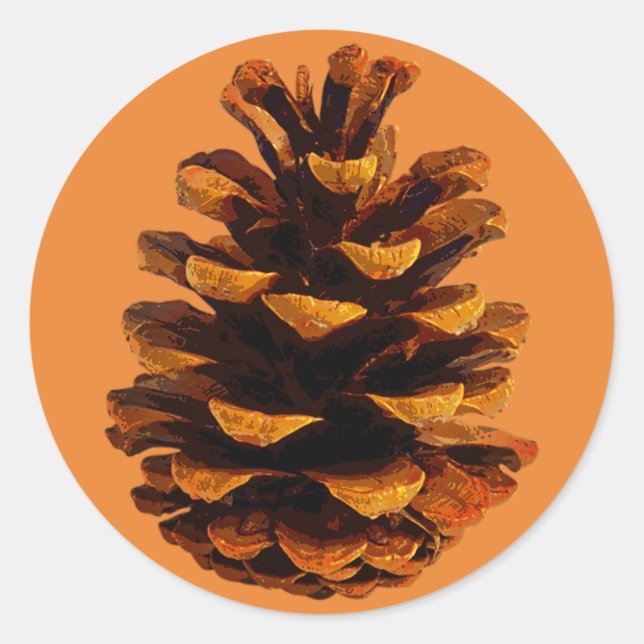 Pinecone rustikale Natur Herbst Runder Aufkleber (Vorderseite)