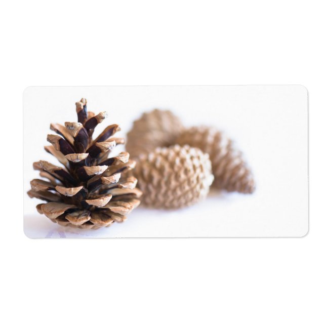 Pinecones (Vorne)