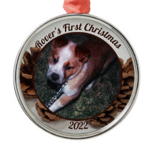 Pinecones Das erste Weihnachtsfest des Hauses mit 