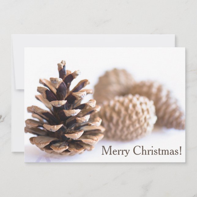 Pinecones Feiertagskarte (Vorderseite)
