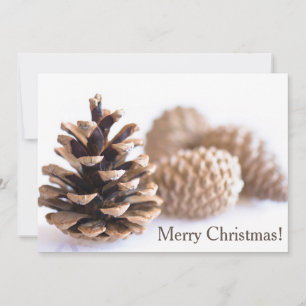Pinecones Feiertagskarte