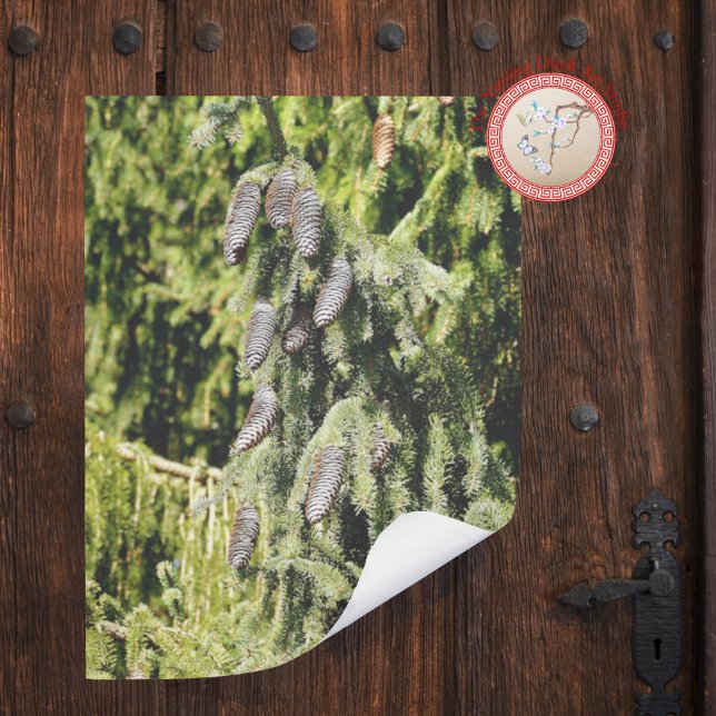 Pinecones Poster (Von Creator hochgeladen)