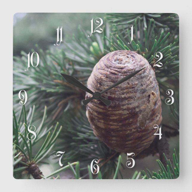 Pinecones Quadratische Wanduhr (Vorderseite)