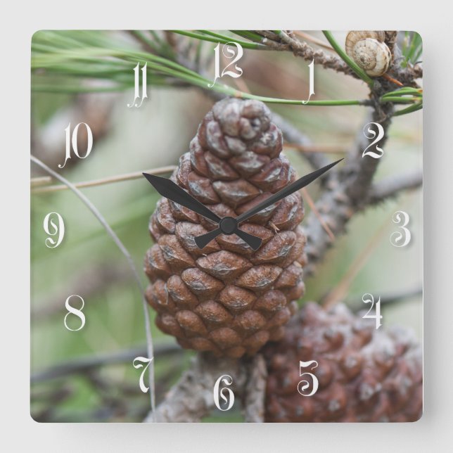 Pinecones Quadratische Wanduhr (Vorderseite)