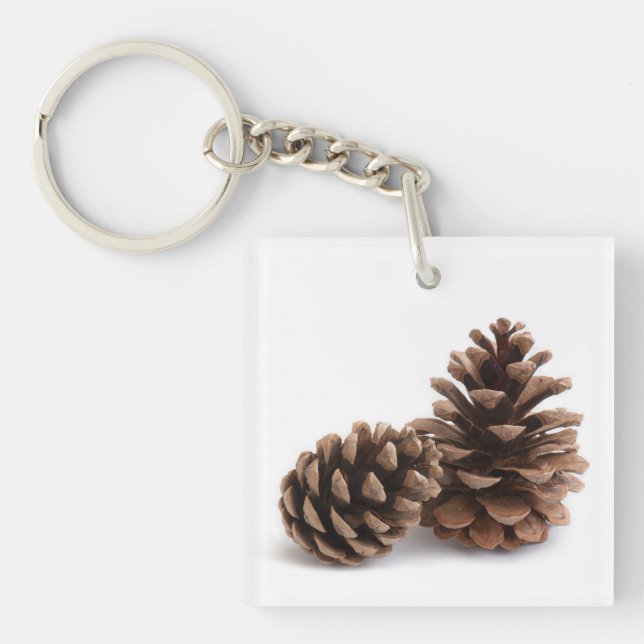 Pinecones Schlüsselanhänger (Vorderseite)