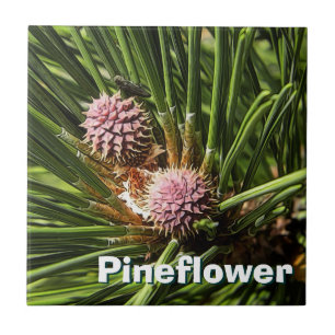 Pineflower Fliese