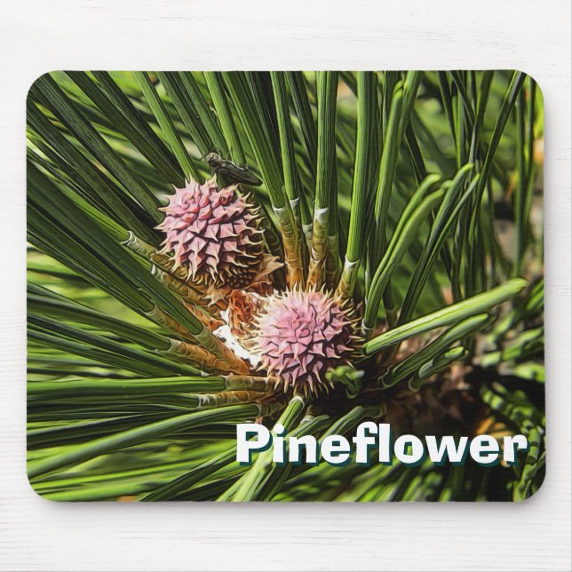 Pineflower Mousepad (Vorne)