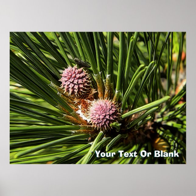 Pineflower Poster (Vorne)