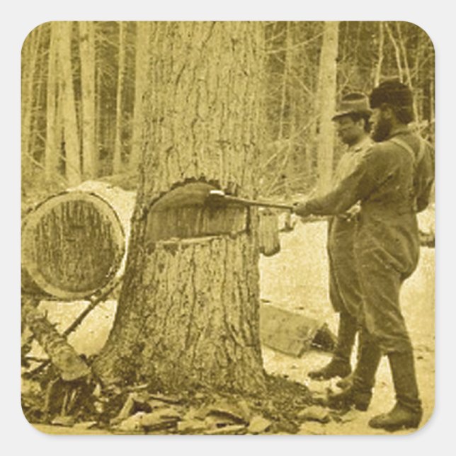 Pineries of Michigan Goodridge Brothers Saginaw MI Quadratischer Aufkleber (Vorderseite)