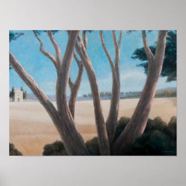 Pines near Pienza 2012 Poster (Vorne)