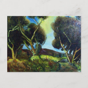 PINEWOOD IN DER Toskana Postkarte