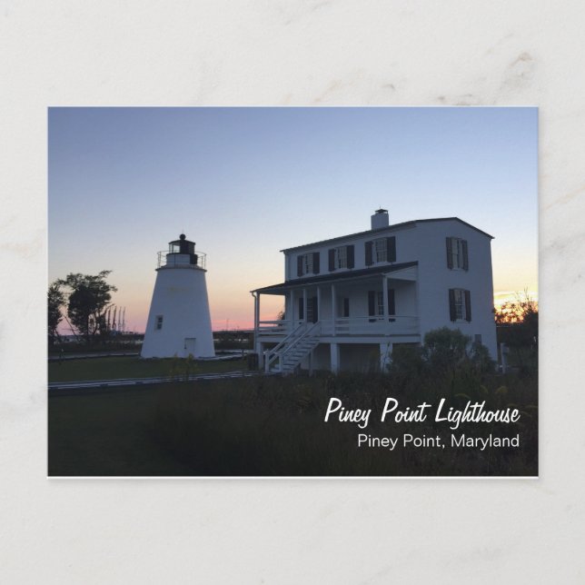Piney Point Lighthouse Postcard Postkarte (Vorderseite)