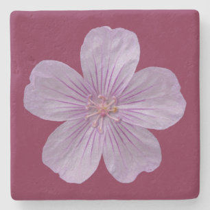 Pineywood Geranium #1 Steinuntersetzer