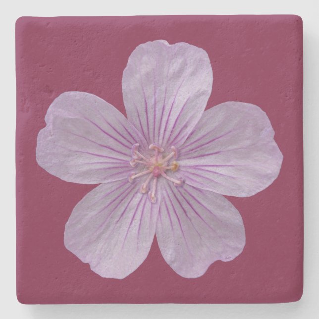 Pineywood Geranium #1 Steinuntersetzer (Vorderseite)