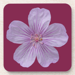 Pineywood Geranium #1 Untersetzer