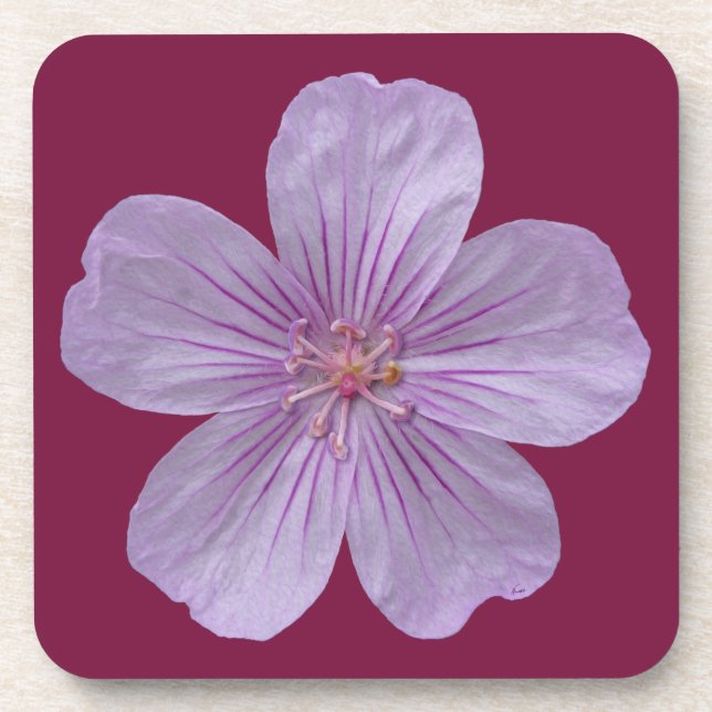 Pineywood Geranium #1 Untersetzer (Vorderseite)