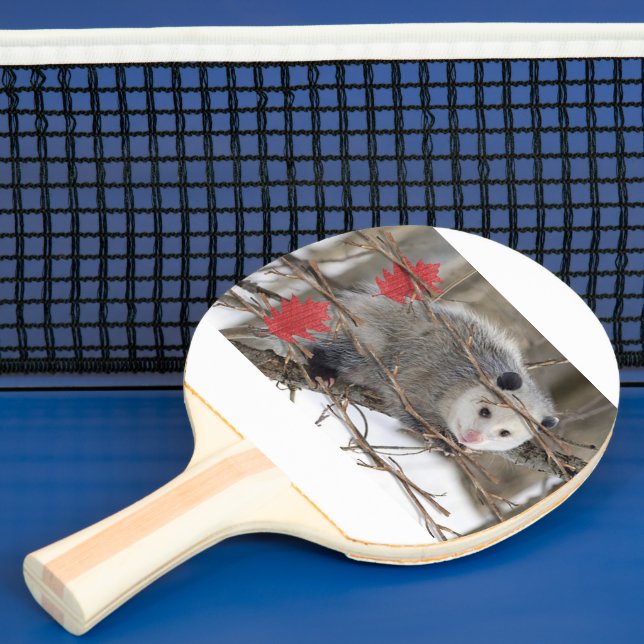 Ping Pong Paddle Opossum Natur Tischtennis Schläger (InSitu)