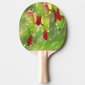 Ping Pong Paddle Swing mit modischer Paddel Tischtennis Schläger