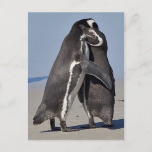 Pingo umarmt Postkarte
