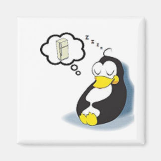 Pinguim sonhando com a Ladeira Magnet