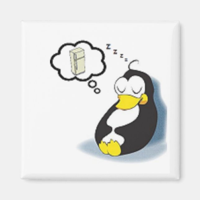 Pinguim sonhando com a Ladeira Magnet (Vorne)