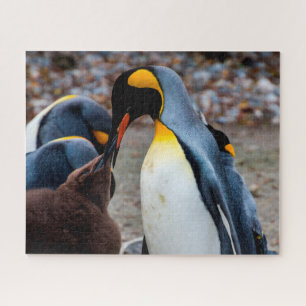 Pinguin-Abendessen mit der Familie, Puzzle