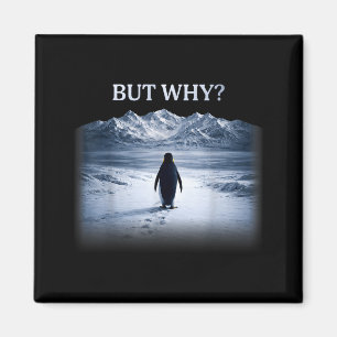 Pinguin, aber warum steuert er auf die Berge zu Pi Magnet