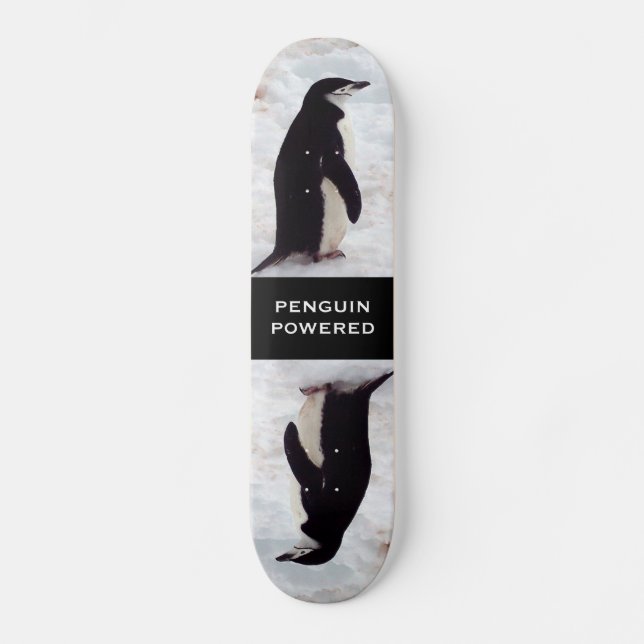 Pinguin angetriebenes Skateboard (Vorderseite)