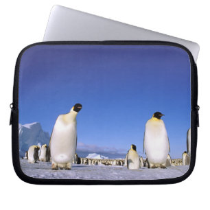 Pinguin Antarktika, Antarktische Halbinsel Laptopschutzhülle