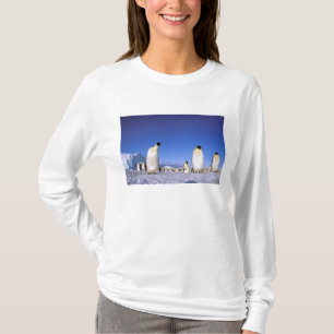 Pinguin Antarktika, Antarktische Halbinsel T-Shirt