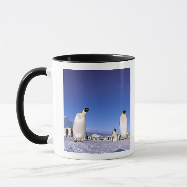 Pinguin | Antarktis, Antarktische Halbinsel Tasse (Links)