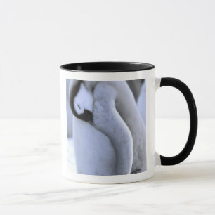 Pinguin Antarktische Halbinsel, Weddellmeer Tasse