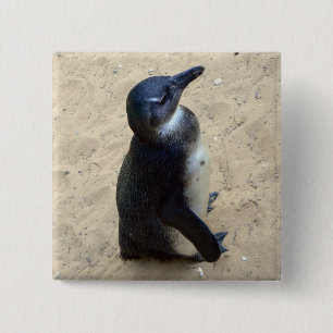 Pinguin auf Sand Button