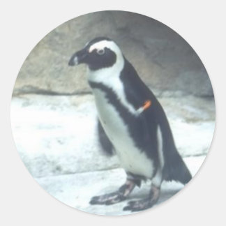 Pinguin-Aufkleber Runder Aufkleber