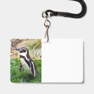 Pinguin Ausweis