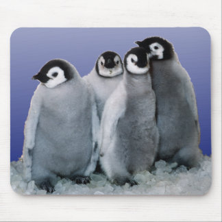 Pinguin-Babys Mousepad