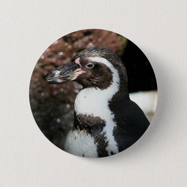 Pinguin Button (Vorderseite)