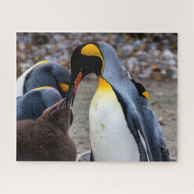 Pinguin Dinner mit Familie, Jigsaw Puzzle (Horizontal)