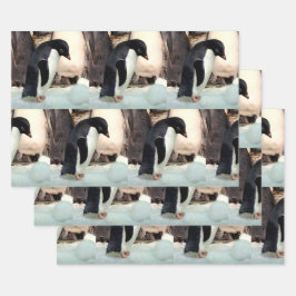 Pinguin - Faltpapierblätter Geschenkpapier Set