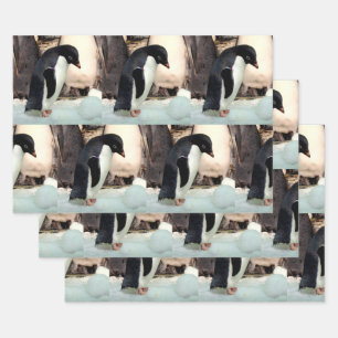 Pinguin - Faltpapierblätter Geschenkpapier Set