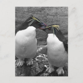 Pinguin-Farbsplash Postkarte